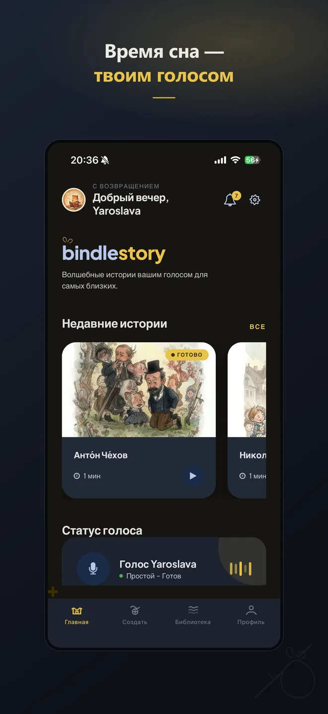 Приложение ночью